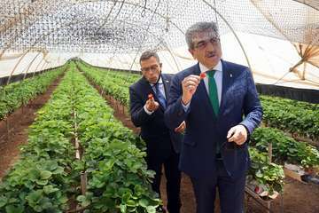 El vicepresidente del Gobierno de Canarias visita el municipio de Valsequillo/Acfi Press.